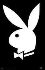 https://www.jackeverett.com/rc_files/p/l/playboy-bunny.JPG